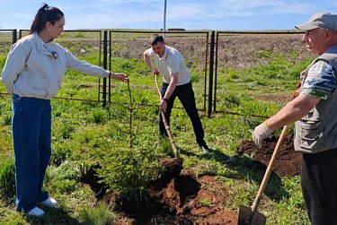 Каждое дерево – символ благодарности героям 
